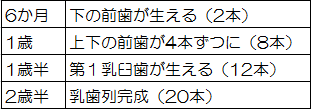歯の生え方（本数）