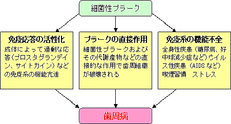 歯周病の進行を止めるには