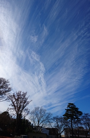 鳳凰の雲