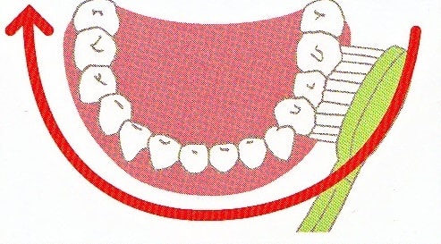 電動歯ブラシでの磨き方2